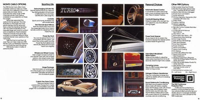1981 Chevrolet Monte Carlo-12-13.jpg
